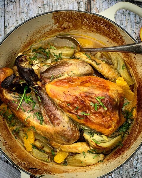 Braised Guineafowl, with Fennel & Orange.