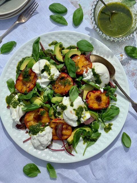 Burrata Salad, with Griddled Nectarines & Herby Dressing