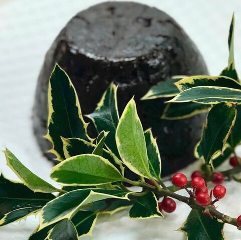 Christmas Pudding