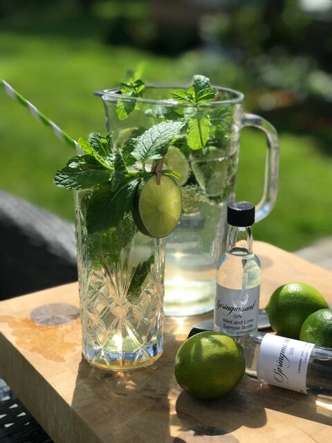 Gin Mojito