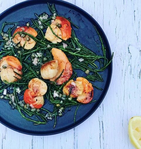 Pan Fried Scallops & Samphire