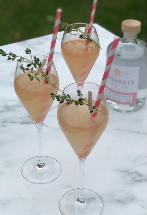 Pink Grapefruit & Gin Fizz