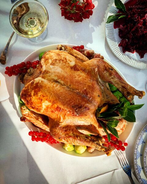 Roast Turkey